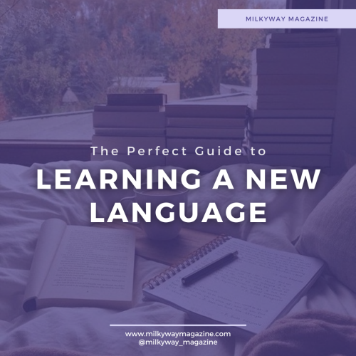 The Perfect Guide to Learning a New Language