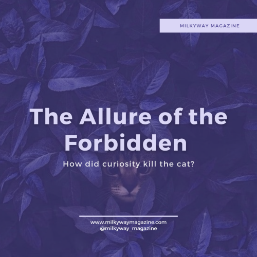 The Allure of the Forbidden