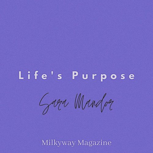 Life’s Purpose